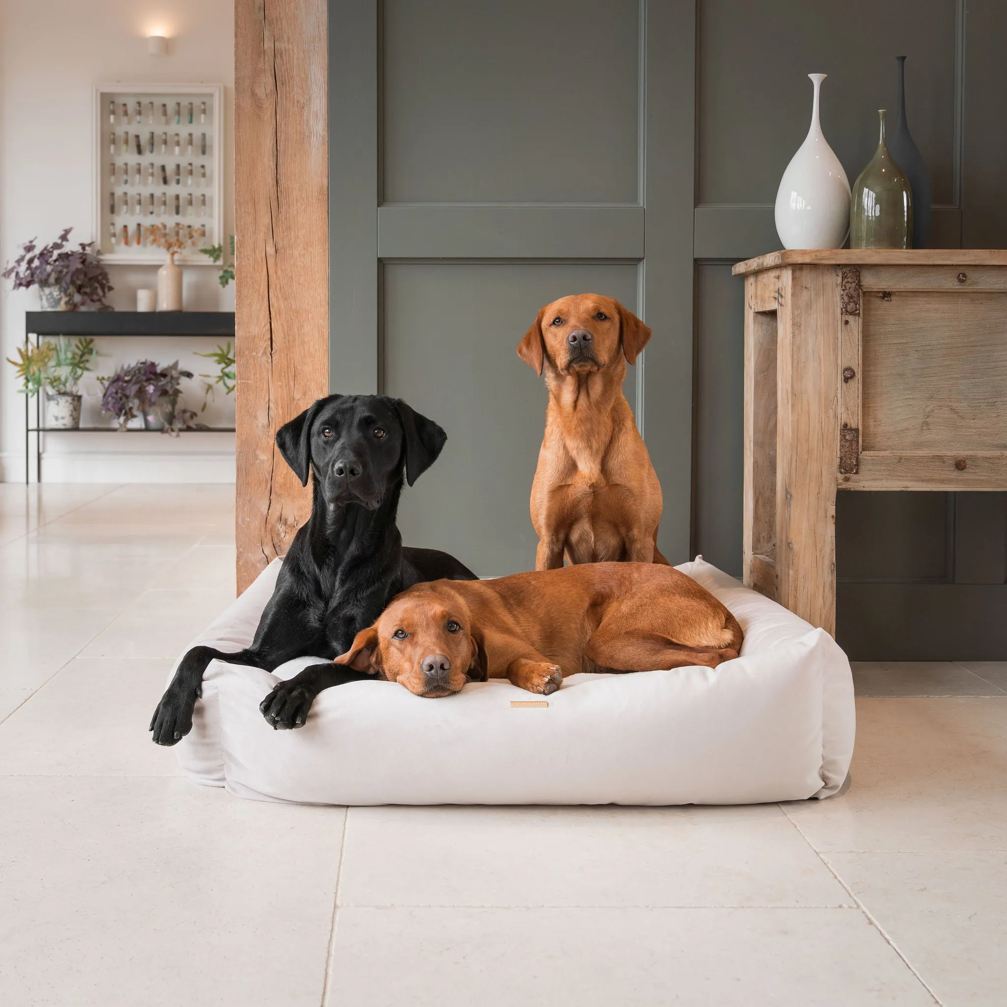 Box Bed With Removable Covers In Oyster Velvet by Lords & Labradors