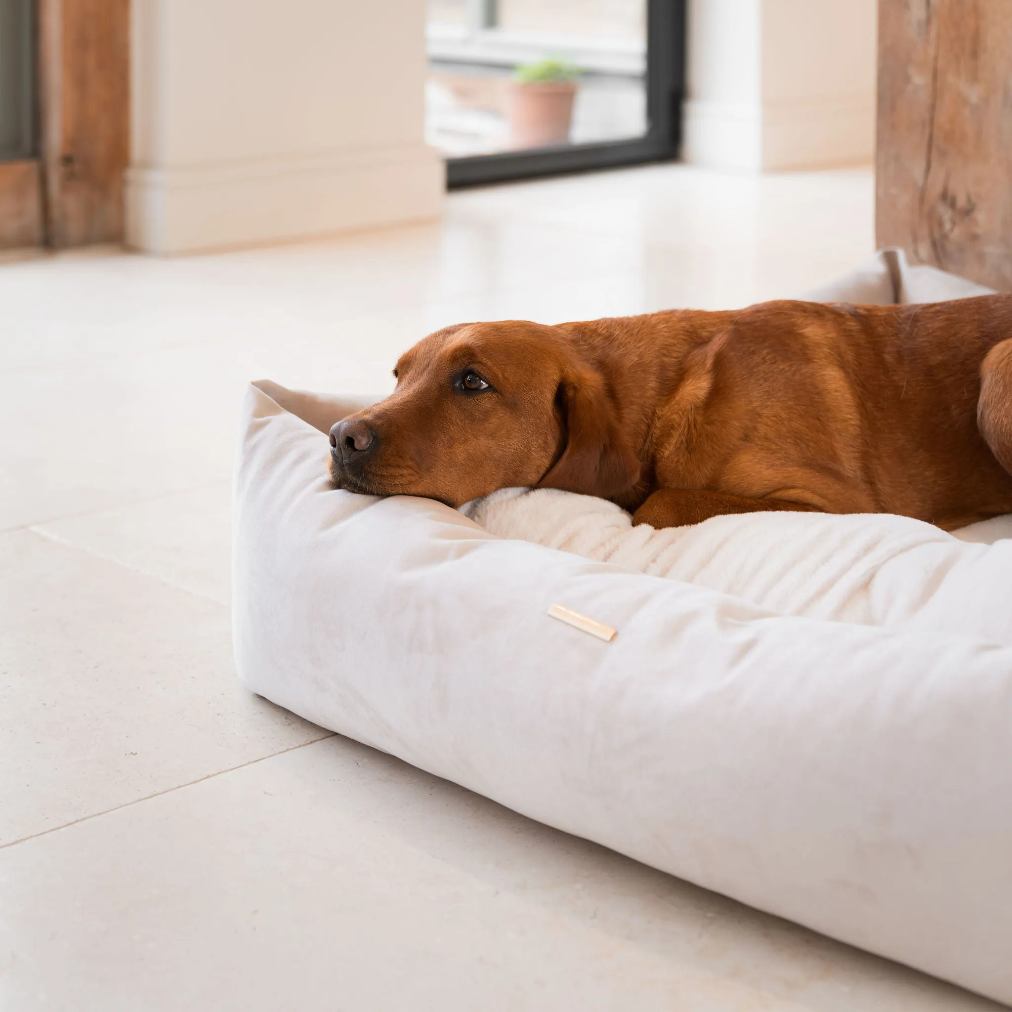 Box Bed With Removable Covers In Oyster Velvet by Lords & Labradors