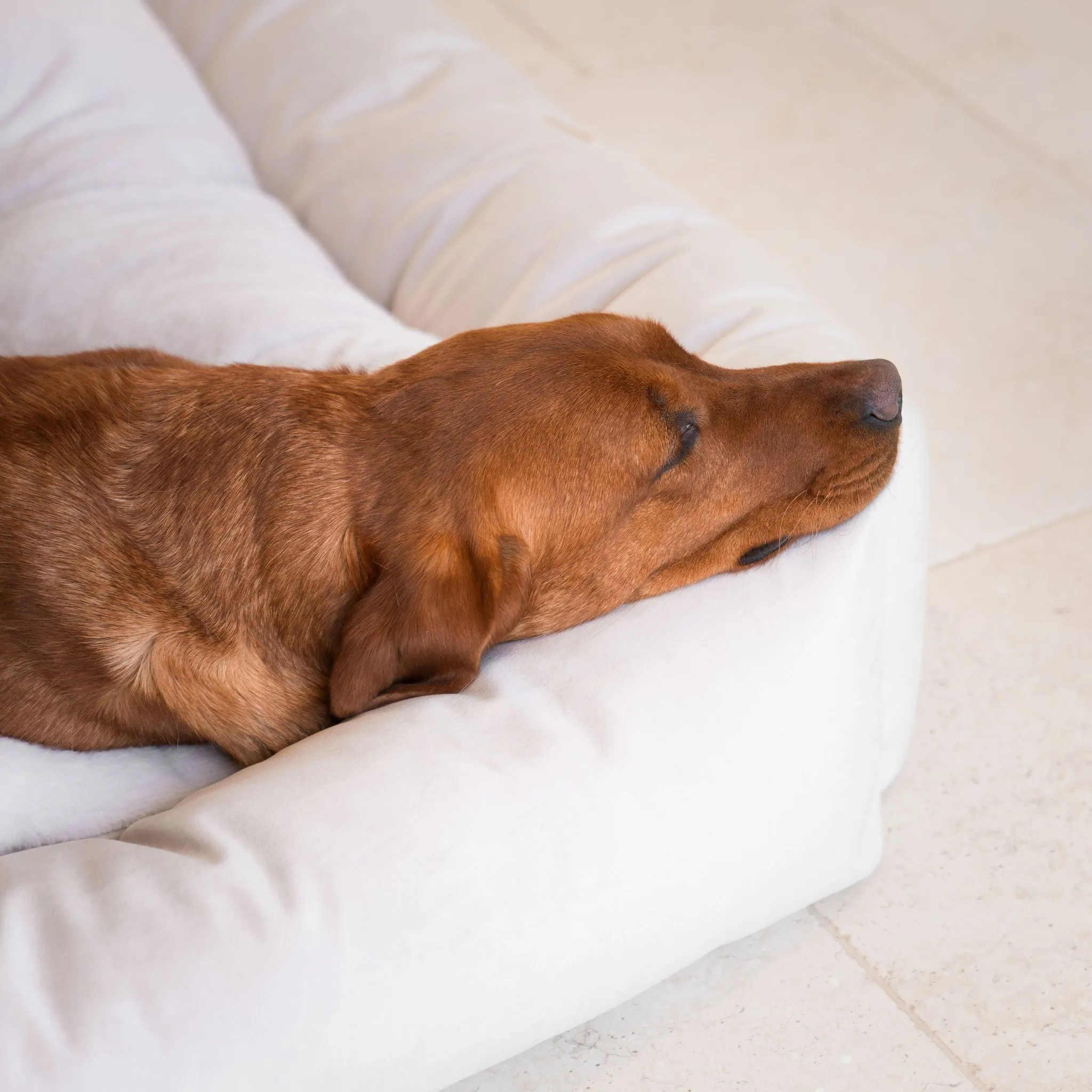 Box Bed With Removable Covers In Oyster Velvet by Lords & Labradors