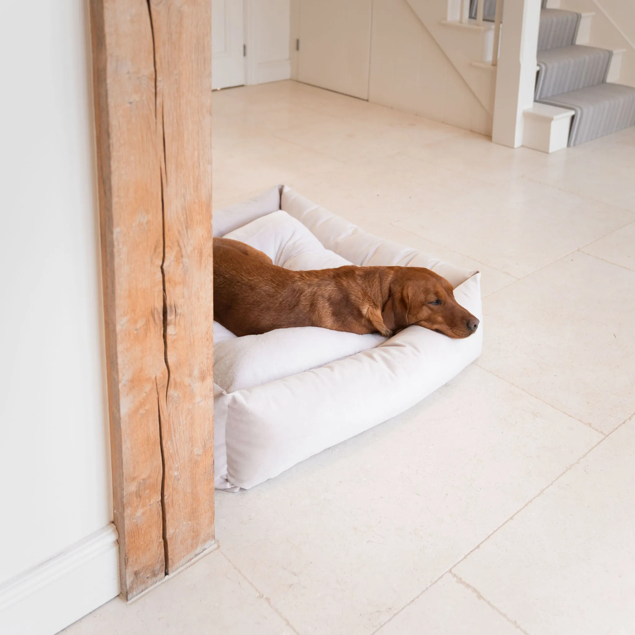 Box Bed With Removable Covers In Oyster Velvet by Lords & Labradors