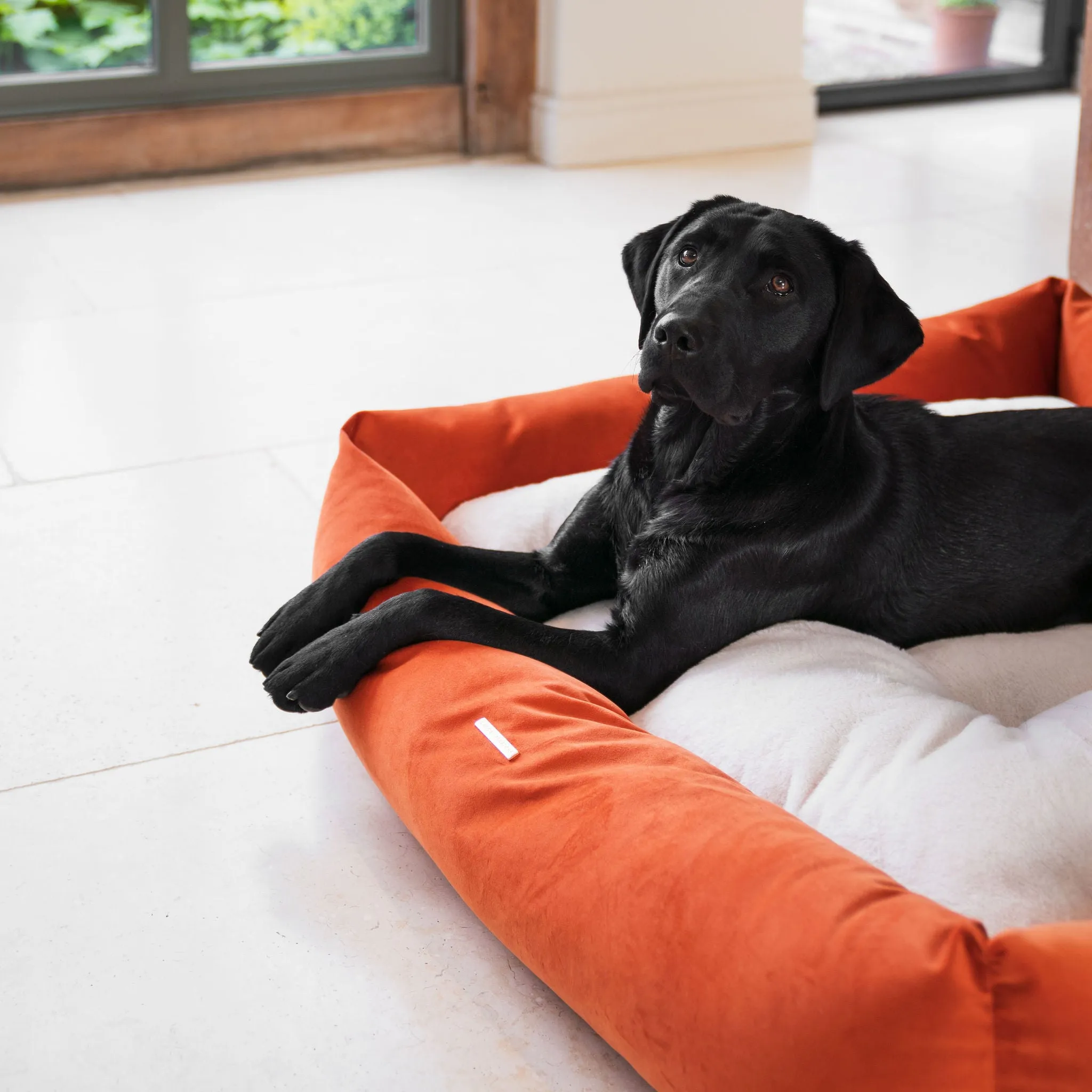 Box Bed With Removable Covers In Pumpkin Velvet by Lords & Labradors