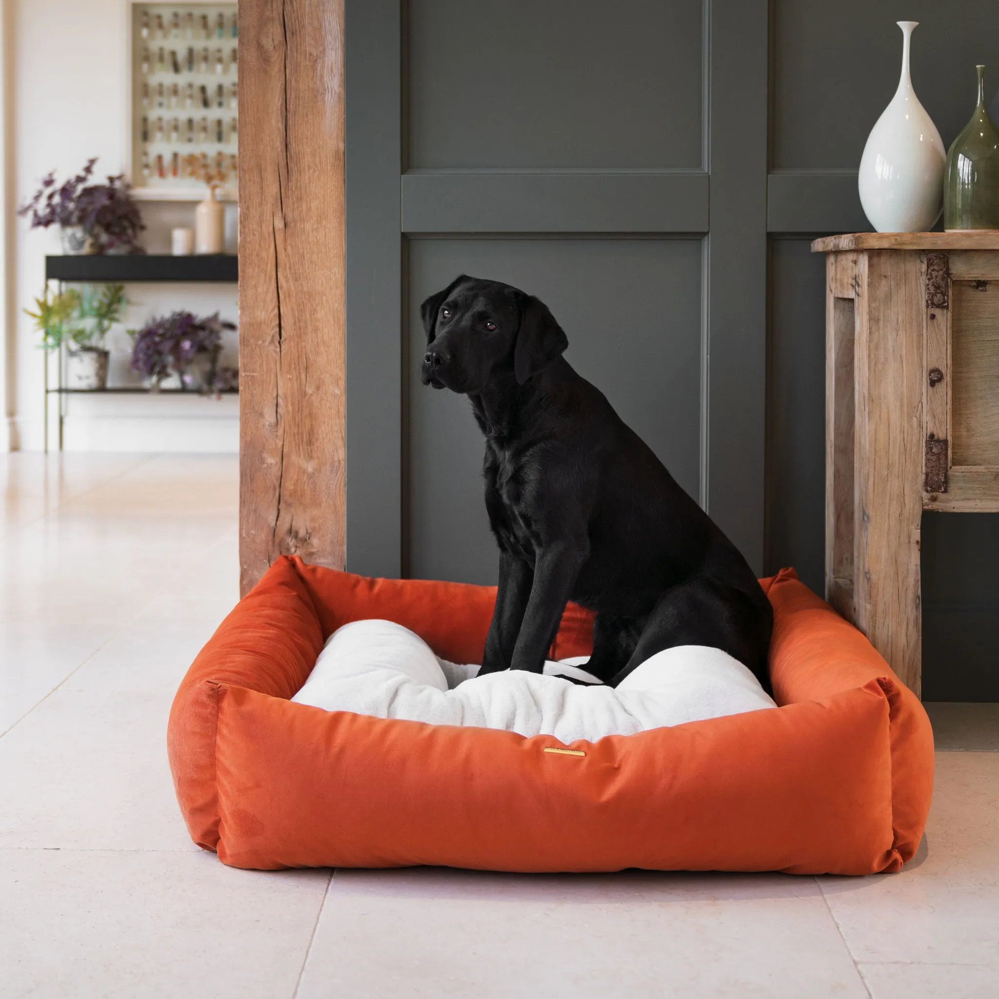 Box Bed With Removable Covers In Pumpkin Velvet by Lords & Labradors