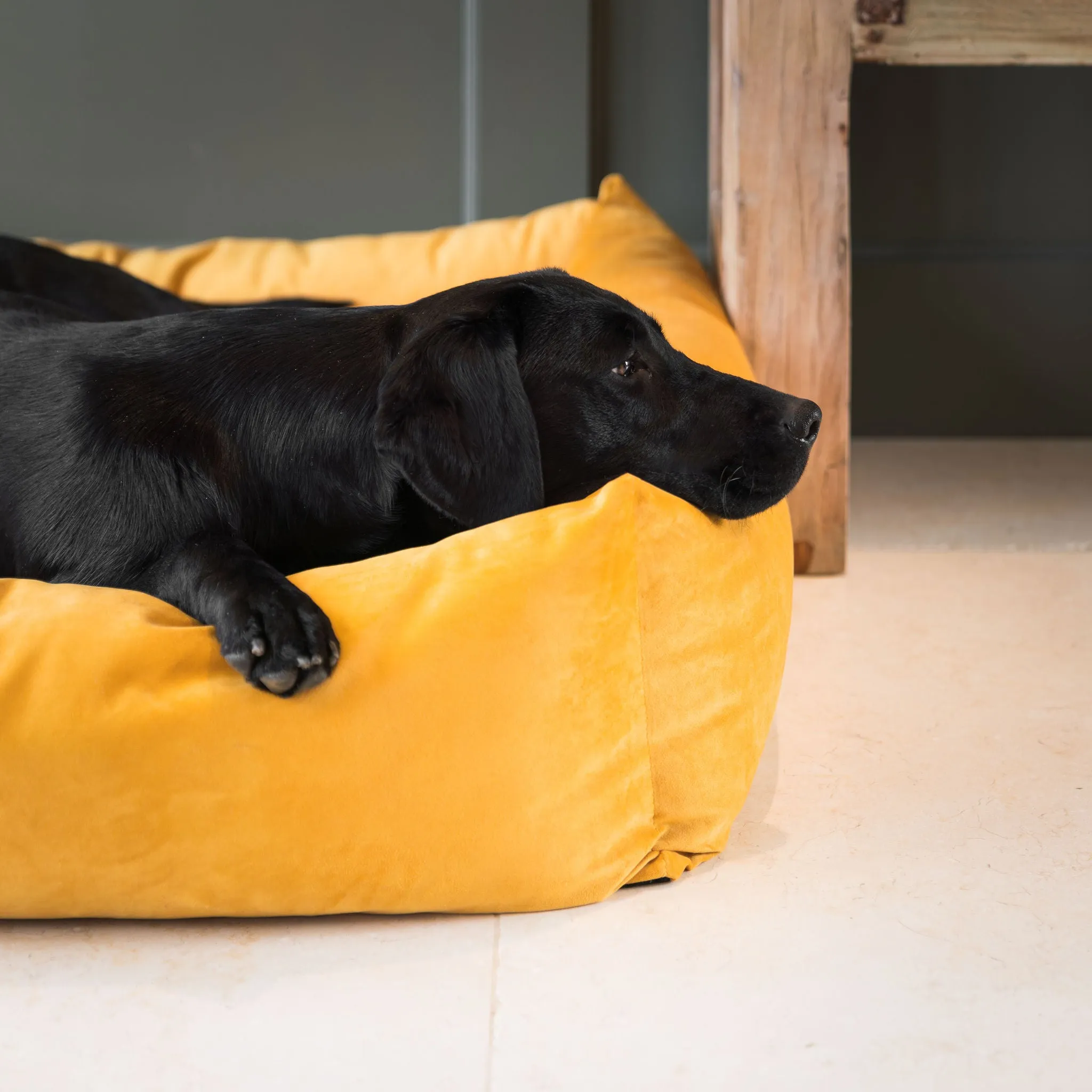 Box Bed With Removable Covers In Saffron Velvet by Lords & Labradors