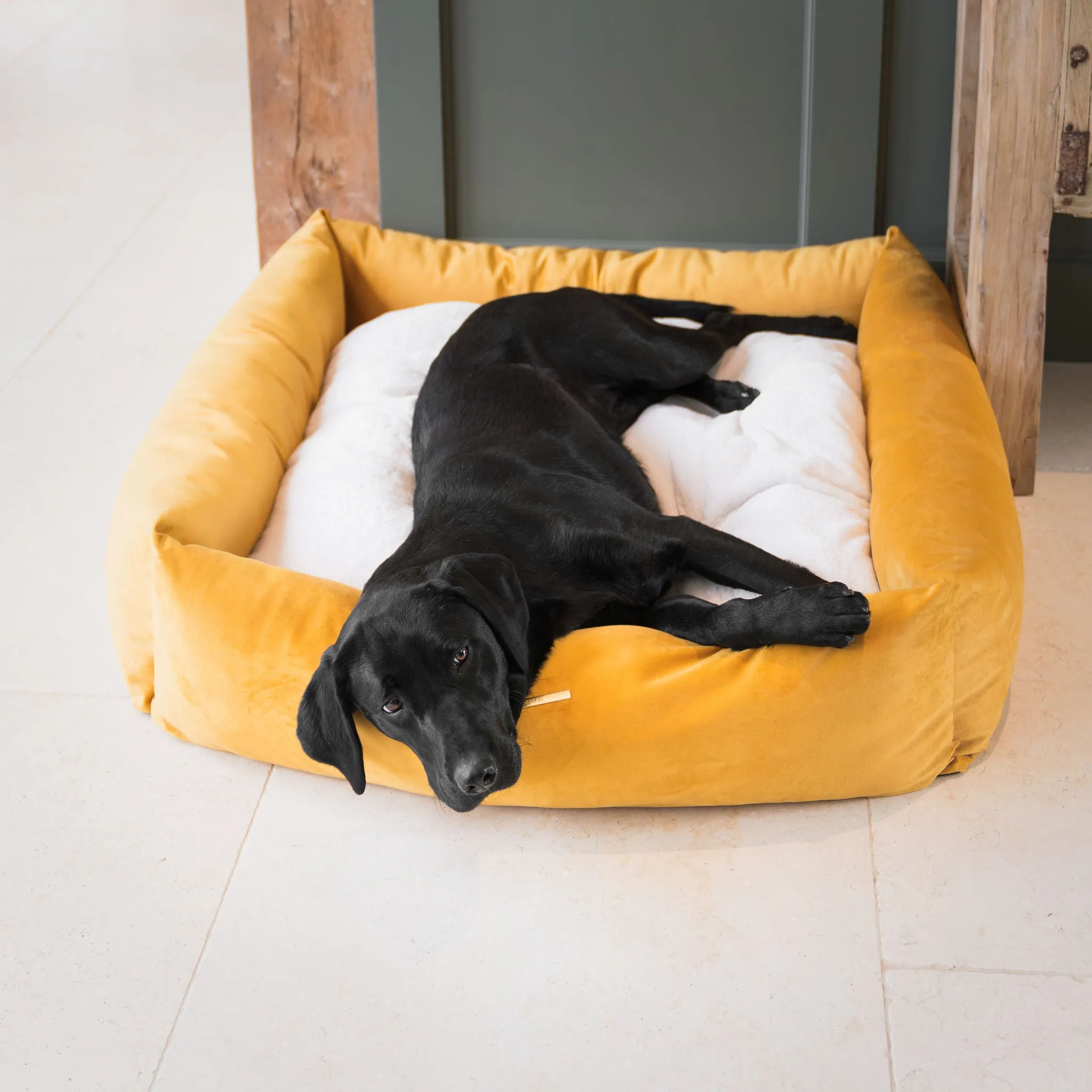 Box Bed With Removable Covers In Saffron Velvet by Lords & Labradors