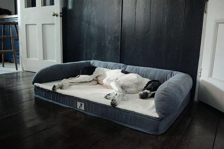 Grayson Luxury Memory Foam Dog Bed XL 120 x 80cm