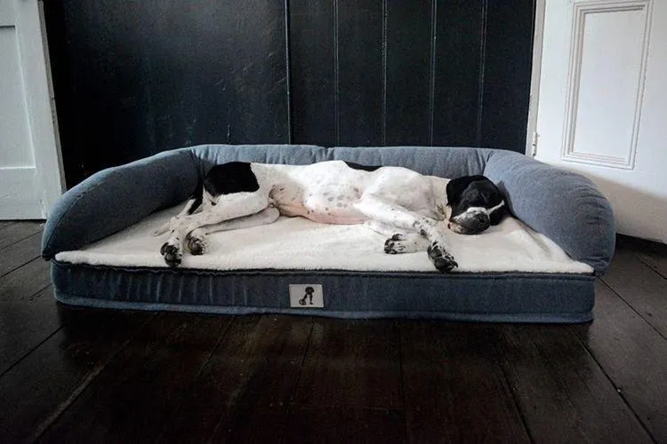 Grayson Luxury Memory Foam Dog Bed XL 120 x 80cm