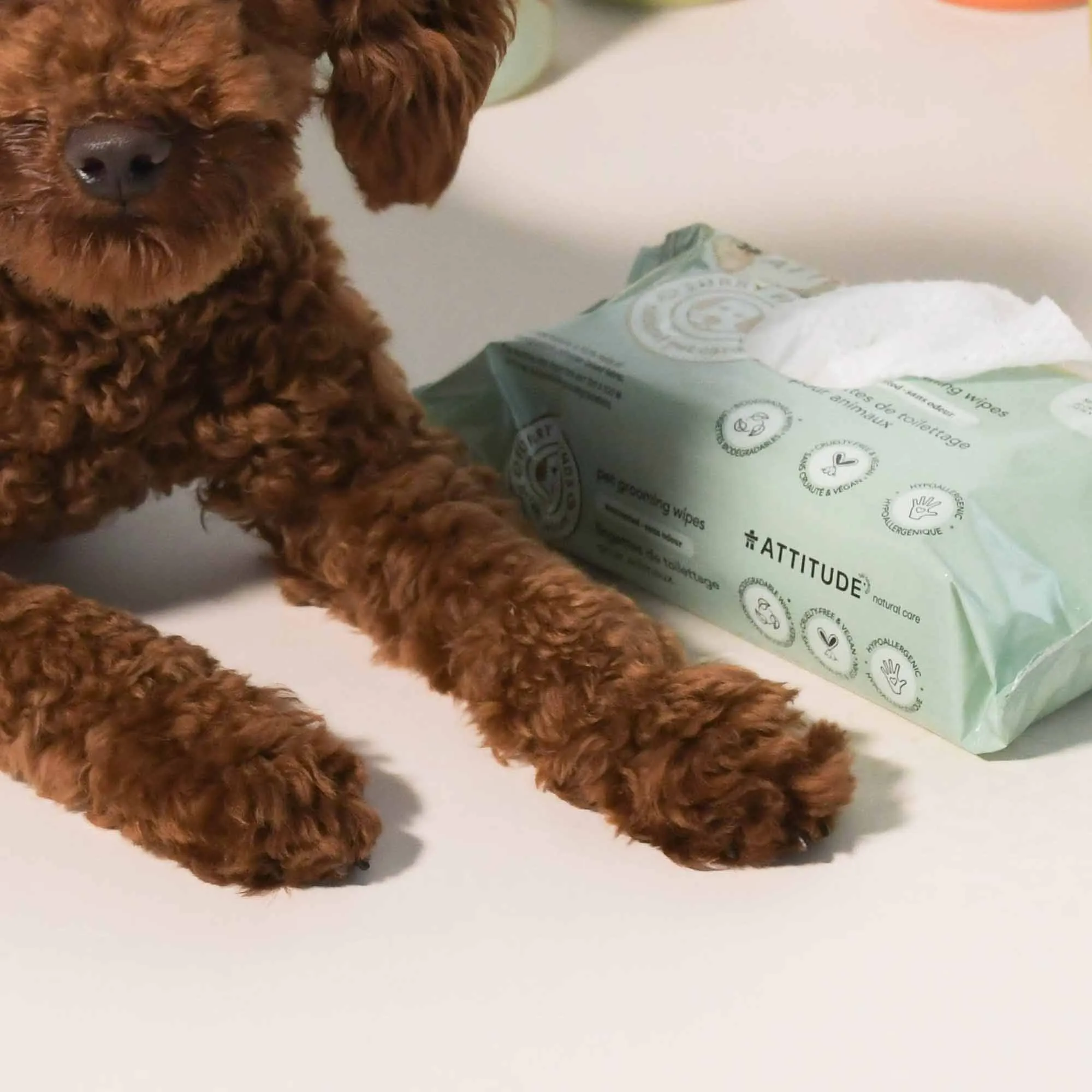 Pet Grooming Wipes : Furry Friends™ : Unscented