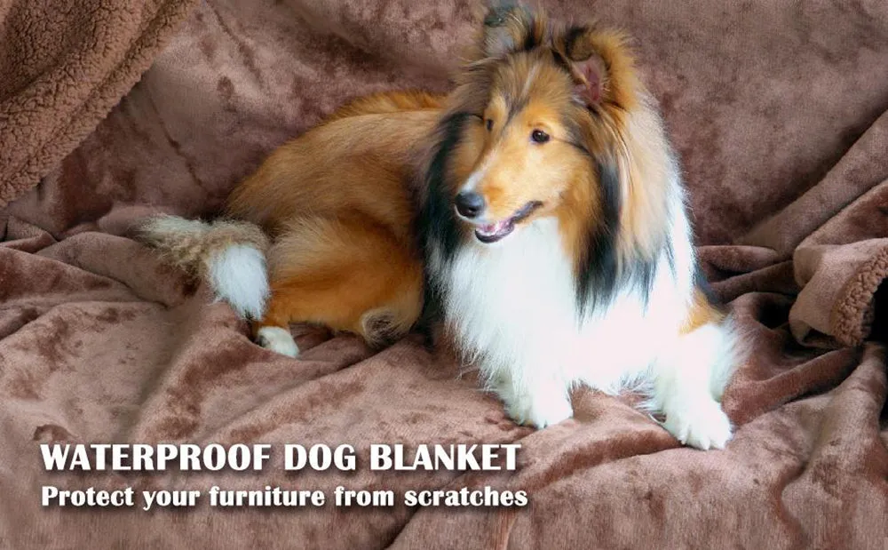 Reversible Waterproof Pet Blanket for Furniture Protection