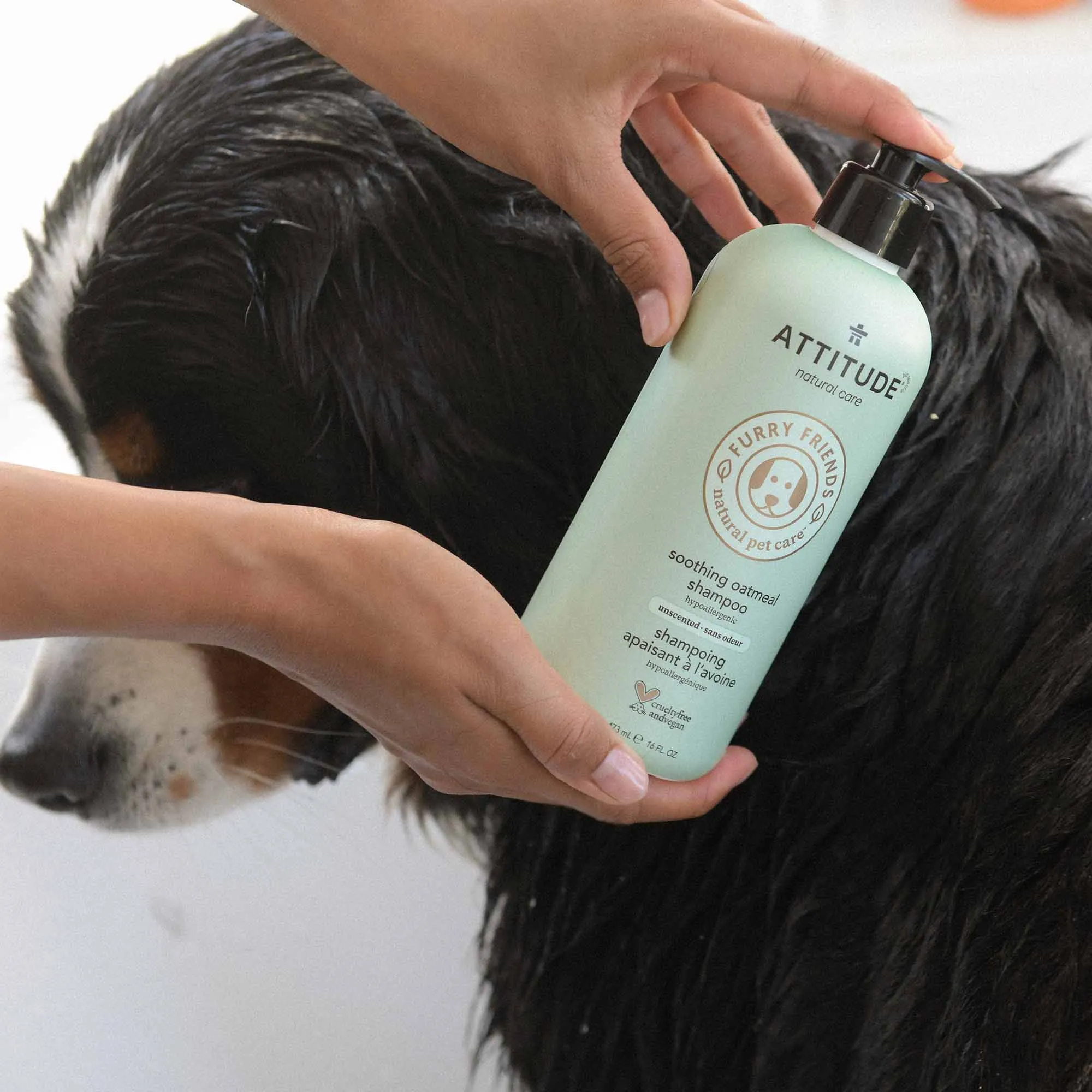 Soothing Oatmeal Shampoo for Pets : FURRY FRIENDS™