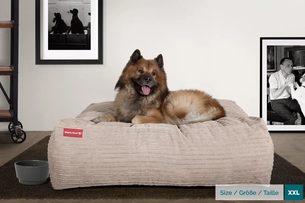 The Crash Pad Memory Foam Dog Bed - Cord Mink